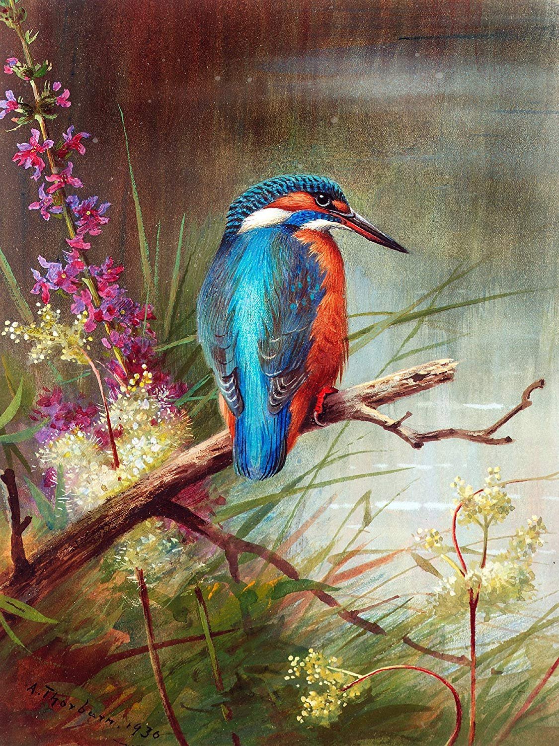 Kingfisher Bird by A. Thorburn Tile Mural Kitchen Bathroom Backsplash Ceramic