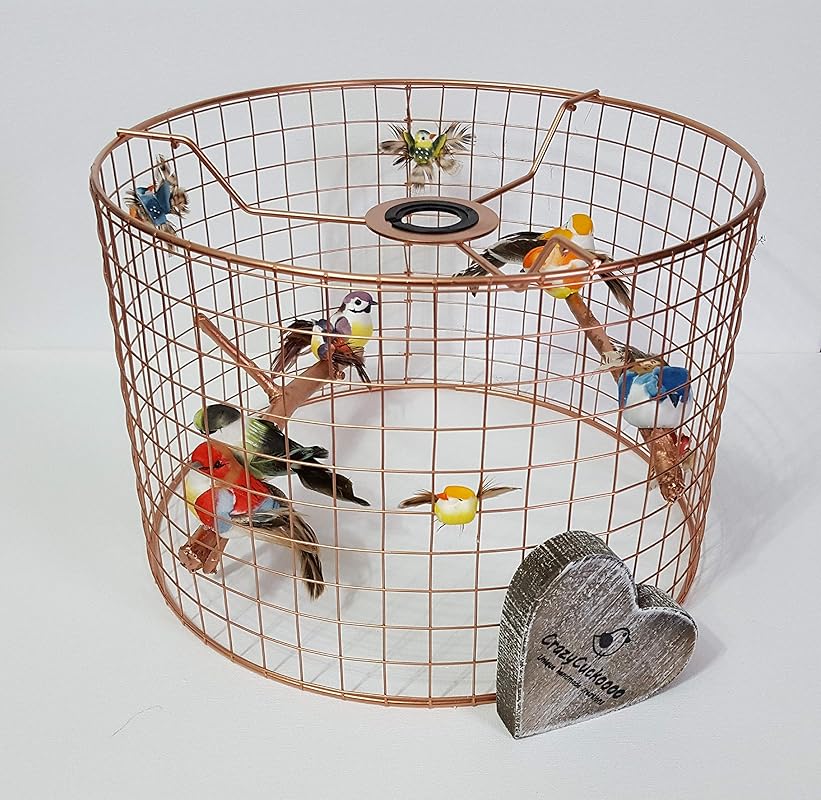 Copper Colourful Bird Birdcage Lightshade Wire Cage Light Shade Amazon