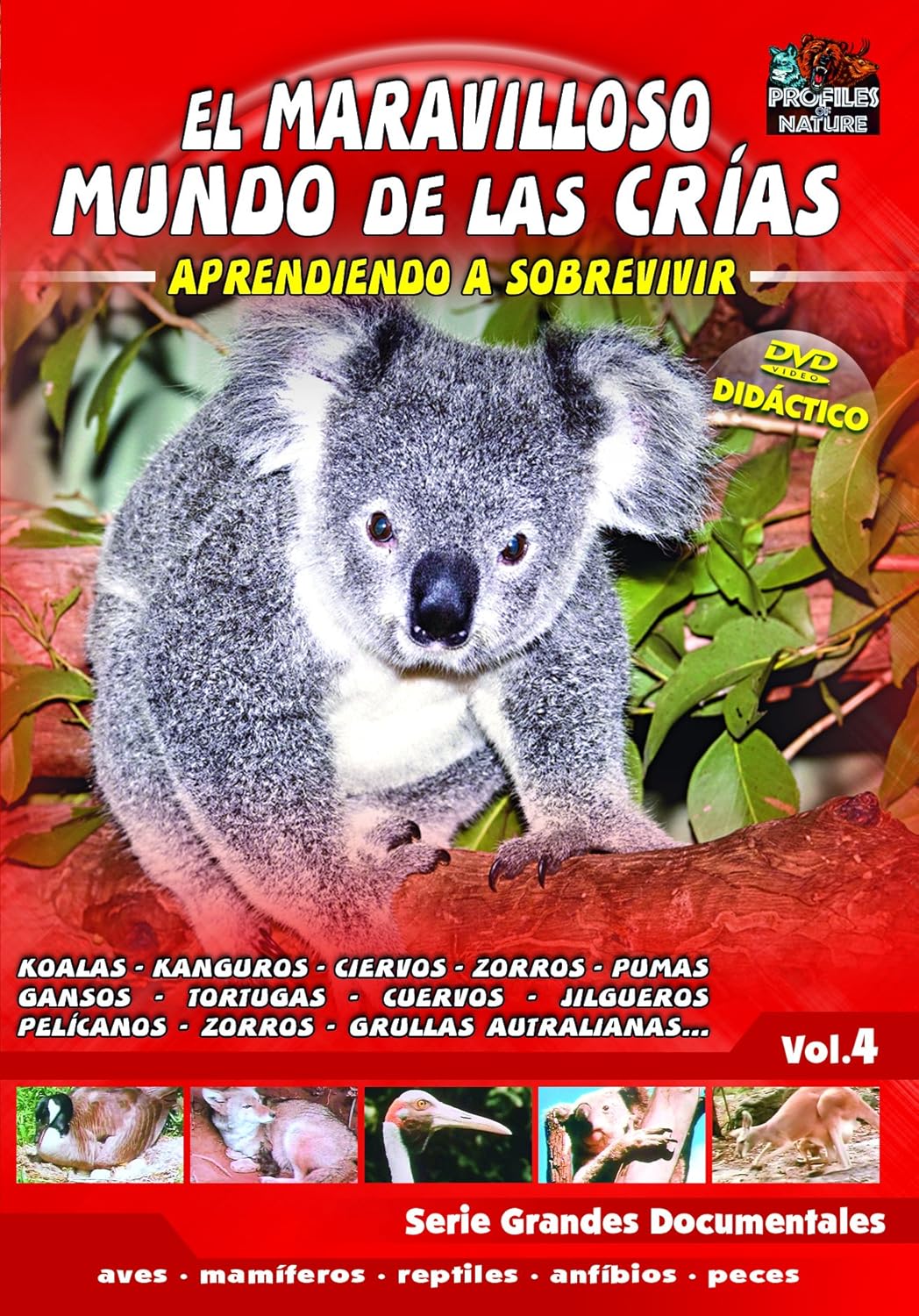 Resultado de imagen de DVD MARAVILLOSO MUNDO CRIAS