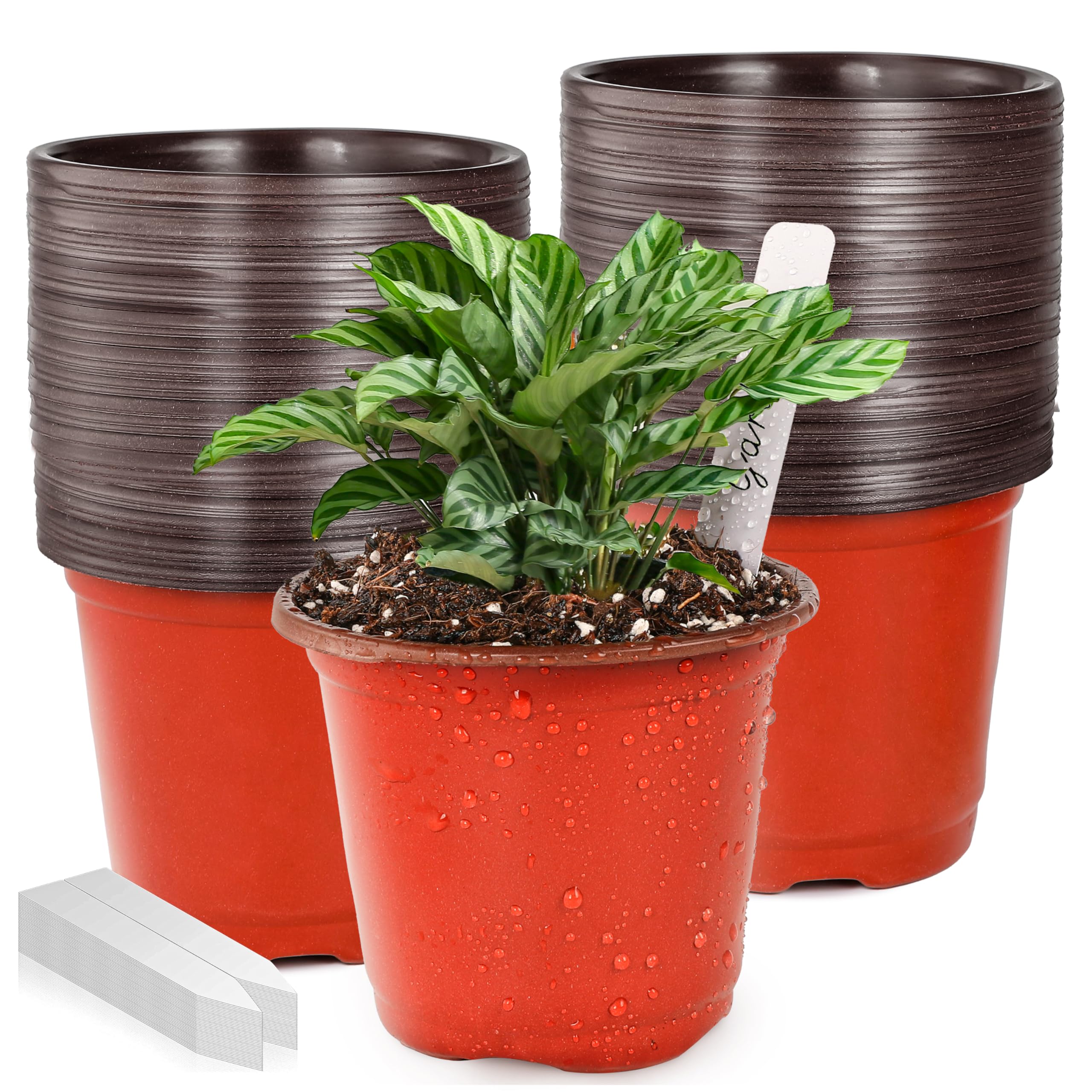 Photo 1 of Plant Nursery Pot/Pots 100 Pcs 4" Plastic Small Plants Pots Flower Pots Seed Starting Pots for Plants Indoor Outdoor Seedling pots (with 100 Plant Labels)