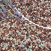 BIOMAND 18LB Lava Rocks for Plants-3/8 Volcanic Rock for Succulent Potting Mix, Cactus, Orchids & Bonsai-Porous Horticultural Grit for Drainage, Aeration & pH Balance - Decorative Top Dressing