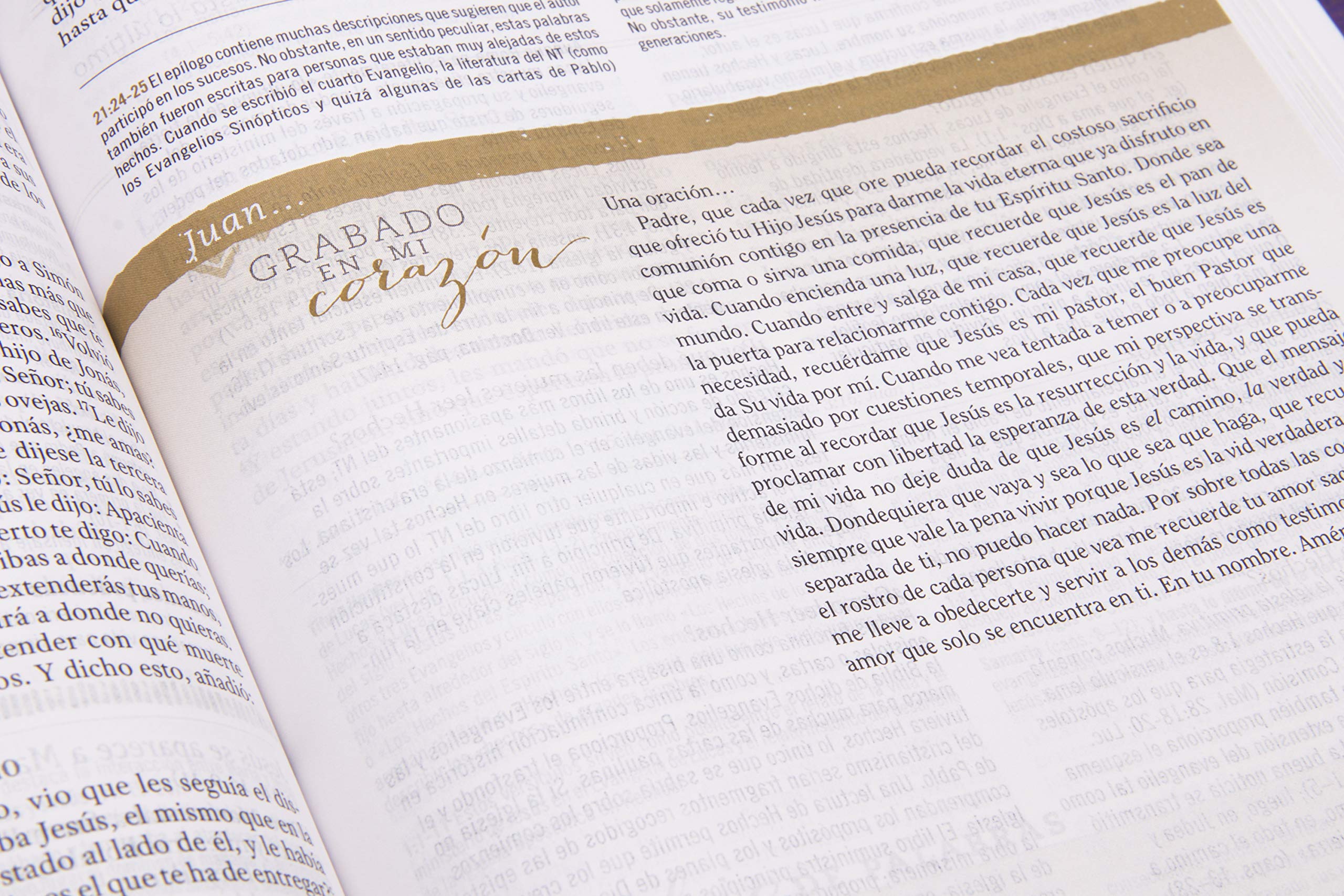 Biblia Reina Valera 1960 de Estudio para Mujeres, Tapa dura | RVR 1960 Women's Study Bible, Hardcover (Spanish Edition) Biblia Reina Valera 1960 de Estudio para Mujeres, Tapa dura | RVR 1960 Women's Study Bible, Hardcover (Spanish Edition) Hardcover
