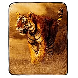 Northwest Savanna Tiger Oversized Raschel Throw