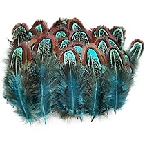 bluee feathers はまく〜ん様 3本おまとめ品 bluee feathers はまく〜ん様 3本おまとめ品 Amazon.com: 50 Pcs