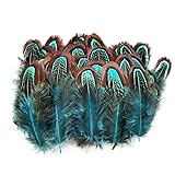 50 pcs Natural Pheasant Plumage Feathers 2-3 Inches