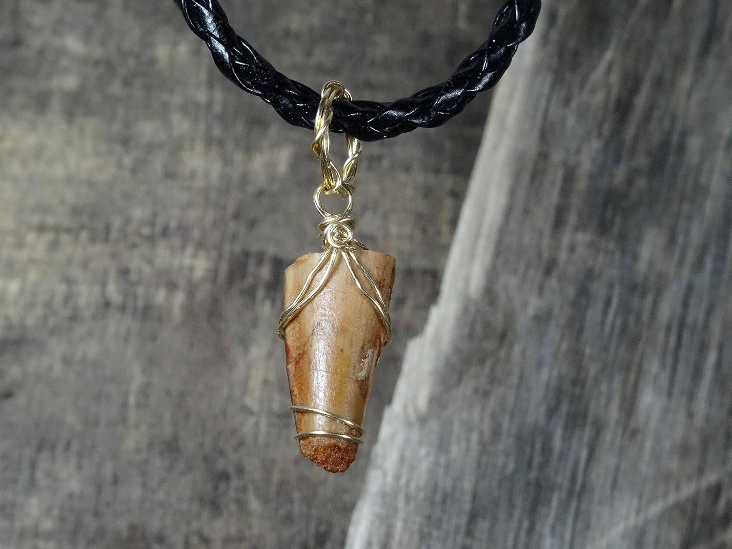 Real Spinosaurus Tooth Pendant, 14k Yellow