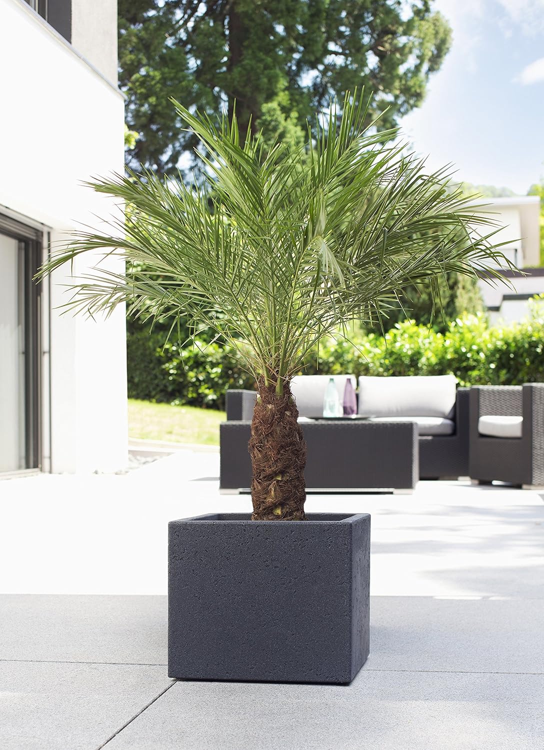 Scheurich C-Cube Planter, Plastic, Stony Black, 29x29 cm, Höhe 27 cm - Image 3