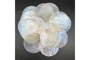 PEPPERLONELY 20 PC Round Natural Capiz Sea Shells, 3 Inches No Hole, Not Polished