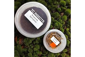 TC INSECTS . Bioactive Combo | 25 Powder Orange Isopods | 8oz Coco Temperate Springtails | Live Arrival Nationwide!