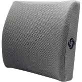 Samsonite Ergonomic Lumbar Pillow for Office Chair and Car Seat - Memory Foam Back Support Lumbar Pillow, Premium Cushion Chair Support for Lower Back Pain Relief and Versatile Use (Grey)