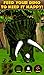Virtual Pet Dinosaur: Triceratops