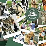 Pets Purest Natural Wormwood Drops for Pets 1000 Drops 8 Weeks+ view 7