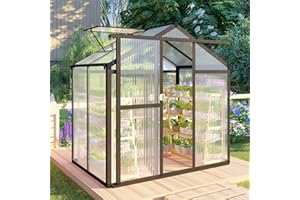 FLY BY YAN CQZY 6x4 FT Greenhouse for Outdoors,Green House for Outside,Dark Gray