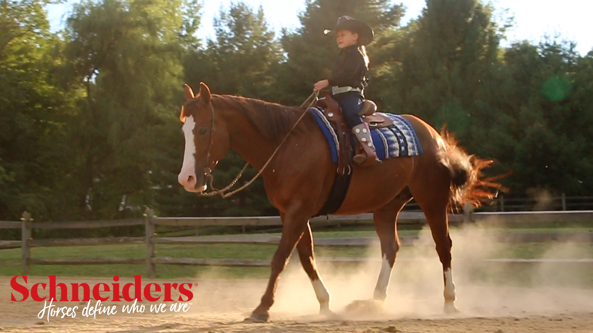 Schneiders BlockAide Blanket Reproofer for Horses | Long-Lasting Water & Oil Repellency photo 8