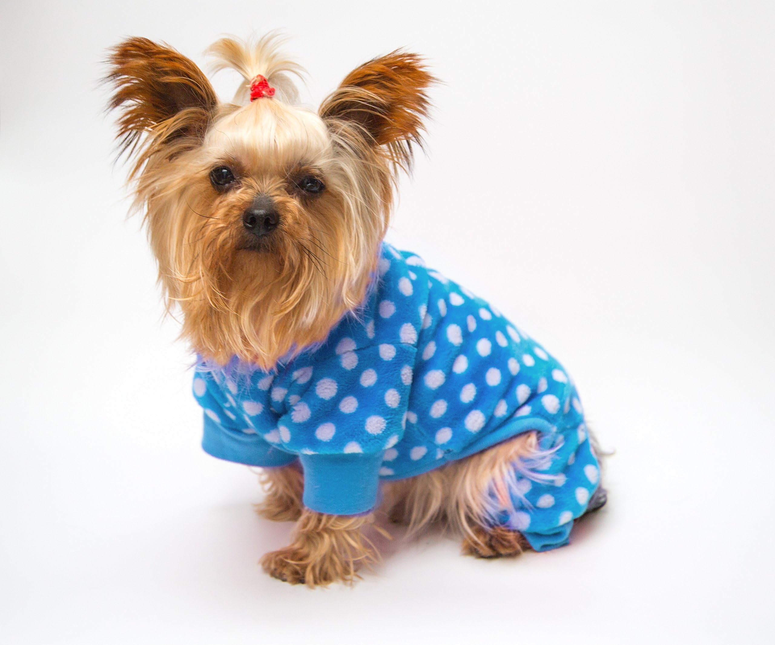 Dot Warm FLEECE PYJAMA TRACKSUIT SLEEPING XS S M dog clothes designer luxury puppy pet clothing coat jacket t shirt apparel jumper sweater hoodie gift warm small medium large dogs (BLUE DOT, M)