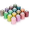 New brothread 16 Variegated Colors Multi-Purpose 100% Mercerized Cotton Threads 30WT(50S/3) 600M(660Y) Each Spool for Quiltin