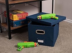 Internet's Best Collapsible File Storage Organizer
