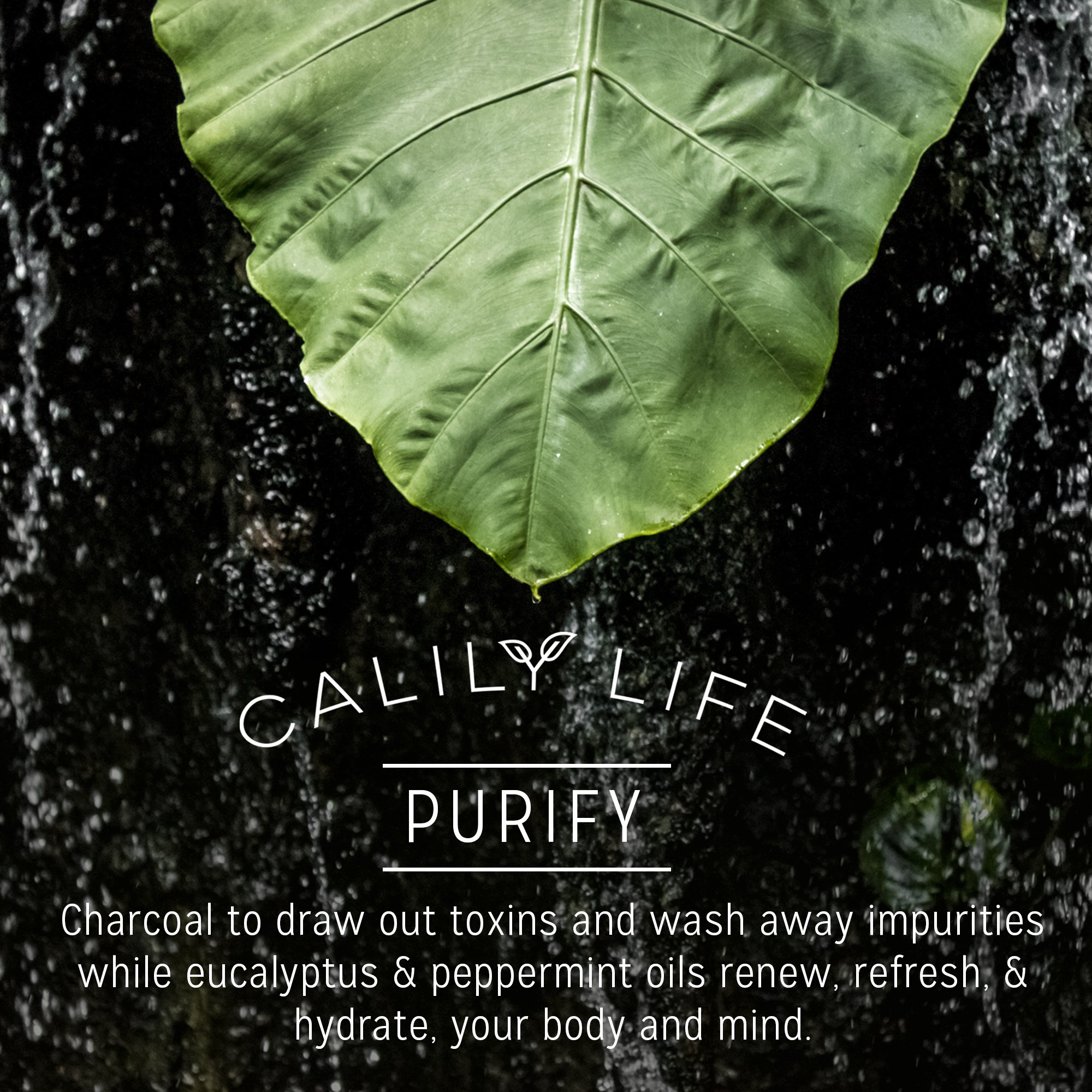 Calily Life Organic Detoxifying Charcoal + Eucalyptus + Peppermint Face and Body Wash, 33. 8 Oz. – Powerful Cleansing and Refreshing + Therapeutic, Invigorating & Relaxing [ENHANCED]