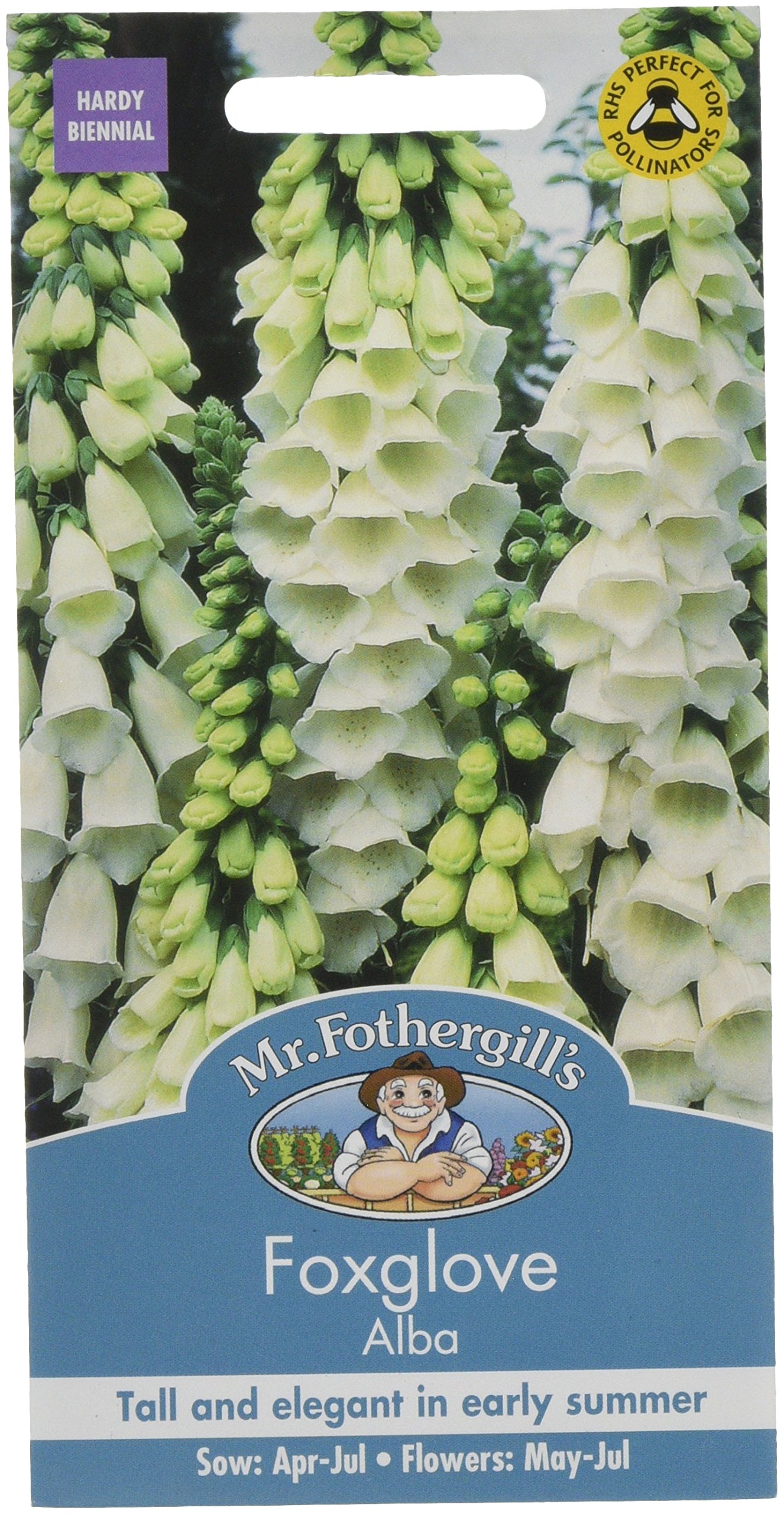 Mr. Fothergill's 15665 Foxglove Alba Flower Seeds, white