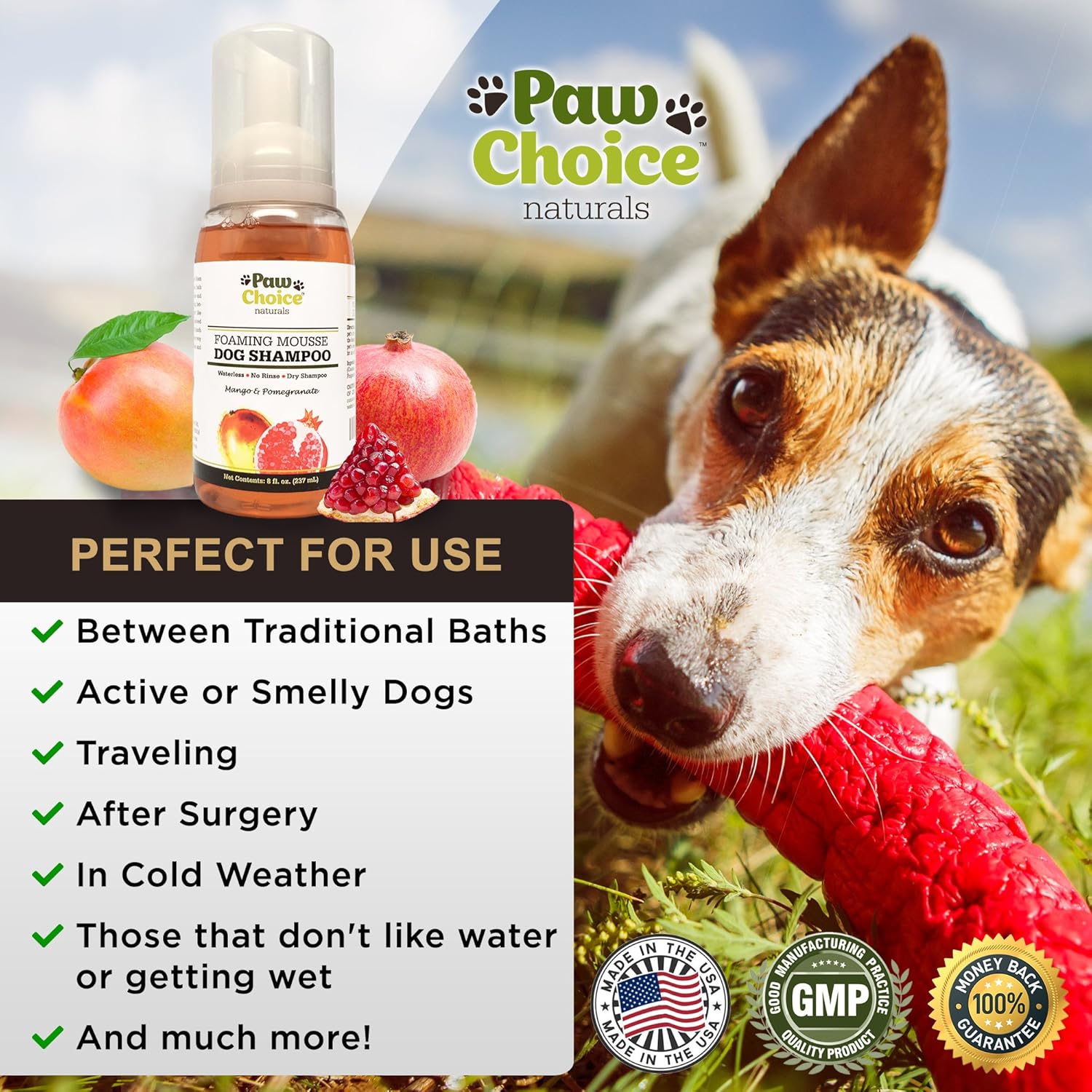 foam shampoo for dogs