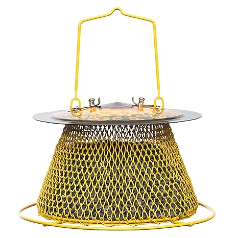 Perky Pet Dsr00386 No No Designer Single Wild Bird Feeder Amazon