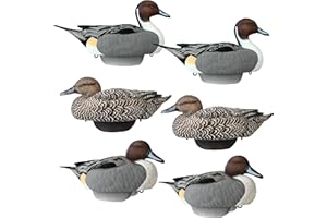LIFETIME DECOYS Pintail Duck Decoys by Heyday – Ultra-Light 100% HydroFoam | Durable, Realistic Design | 6 Pack of Duck Hunting Decoys