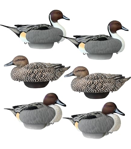 Pintail Duck Decoys By Heyday – Ultra-Light 100% HydroFoam | Durable, Realistic Design | 6 Pack Of Duck Hunting Decoys