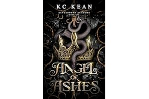 Angel of Ashes: A Fantasy Why Choose Academy Romance (Neverbound Academy Book 1)