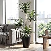 Jexine Artificial Dracaena Marginata, 5 Ft Tall Artificial Dracaena Plant Tree, Tropical Faux Fake Floor Plant with Pot Indoor Outdoor Decorative Tree for Home Office Decor Housewarming Gift