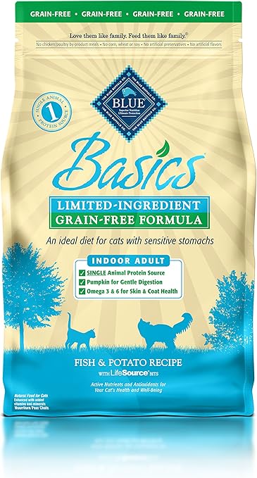 chocolate patterdale for sale