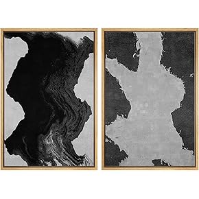 SIGNWIN Framed Wall Art Print Set Black Abstract...