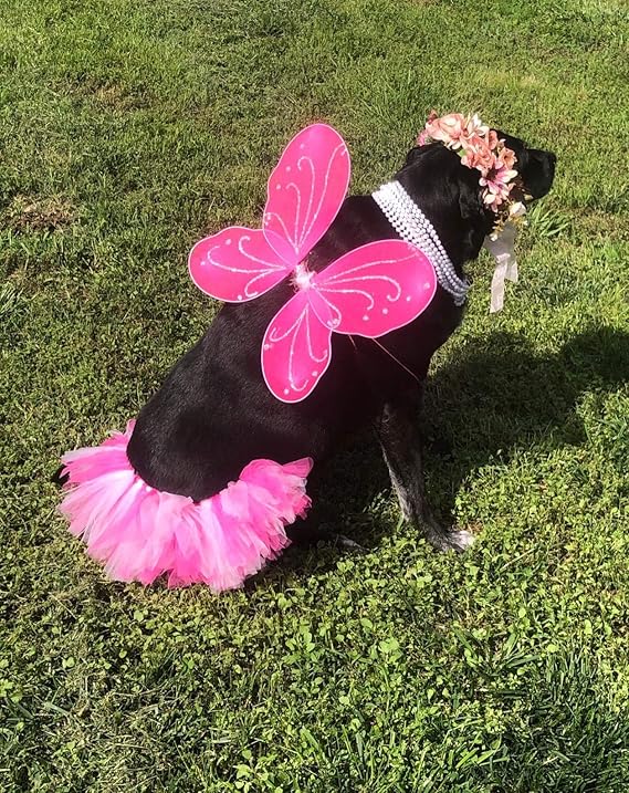 pink wings party gown