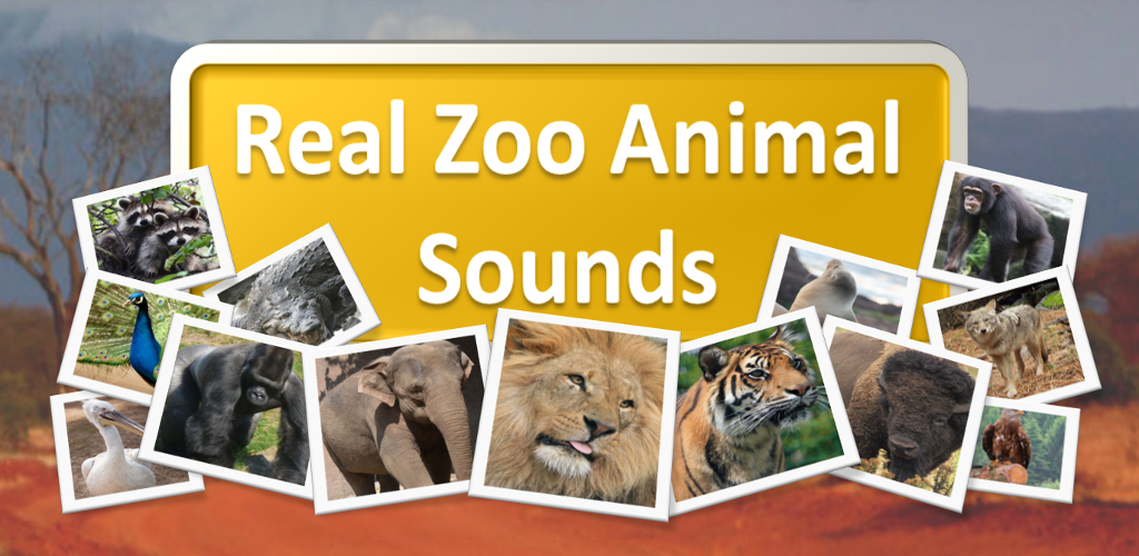 Amazon.com: Real Zoo Animal Sounds: Appstore for Android