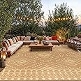 LBRO2M Plastic Straw Outdoor Rug Waterproof Rugs 8X10 UV Resistant Moroccan Geometric Reversible RV Rug for Outside Camping R