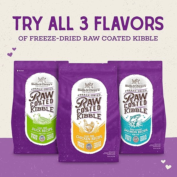 STELLA & CHEWY’S RAW COATED CAT FOOD – HIGH PROTEIN, GRAIN-FREE KIBBLE WITH WILD-CAUGHT SALMON – PREMIUM DIGESTIVE SUPPORT WITH PROBIOTICS – NATURAL SMALL KIBBLE – PERFECT FOR PICKY EATER – 2.5LB BAG