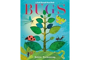 Bugs: A Peek-Through Board Book