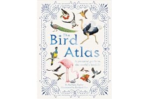 kindle best category lists