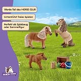 Schleich Horse Club 8Pc Miniature Shetland Pony Family view 4