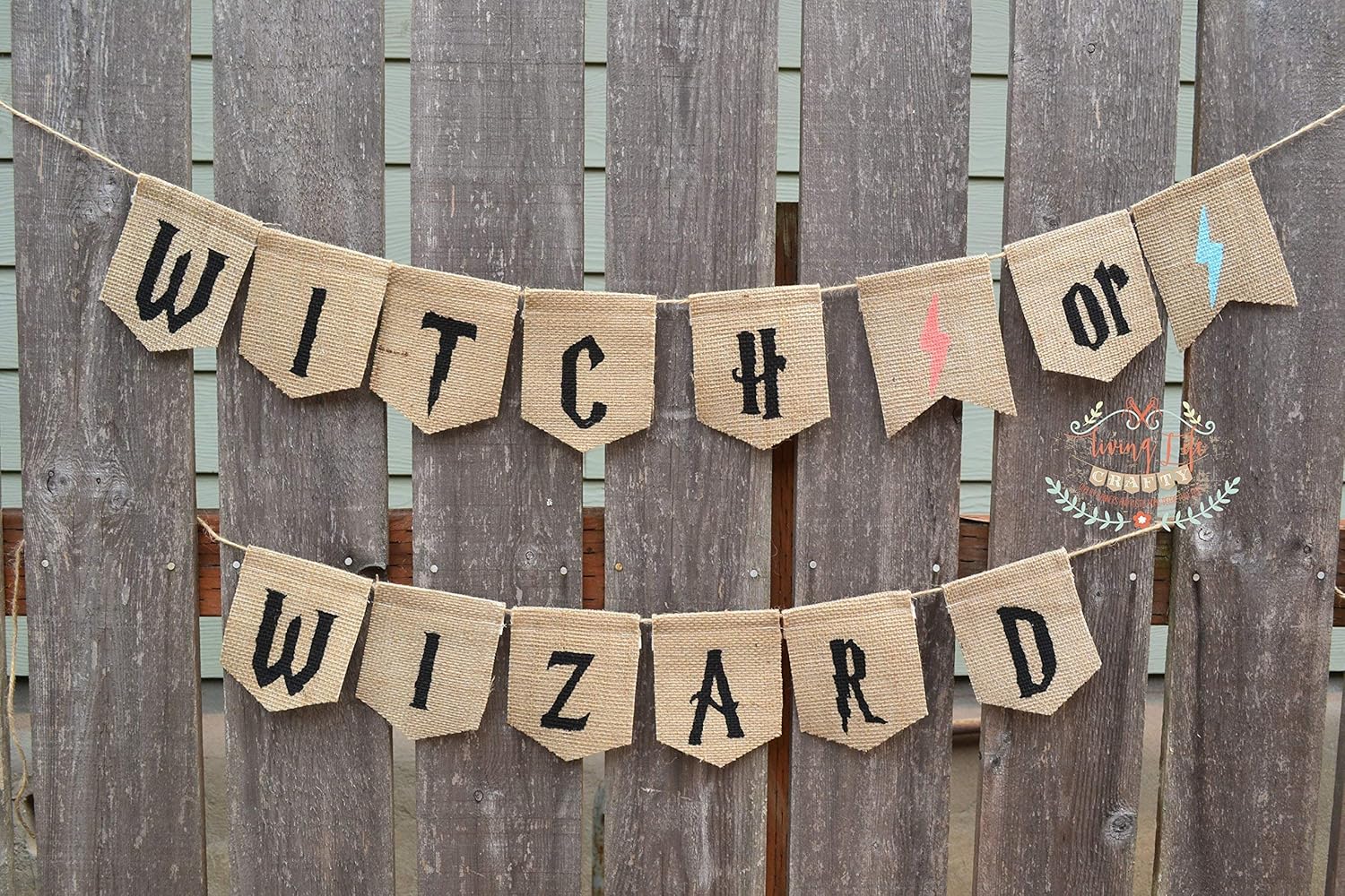 harry potter baby reveal