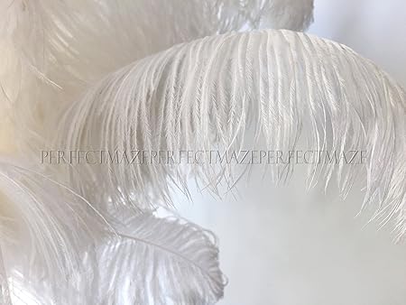 Perfectmaze 16 18 Ostrich Feather Premium Quality For Wedding