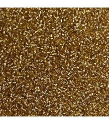 Amazon.com: Miyuki Delica 11/0 Cylinder Seed Beads - Galv