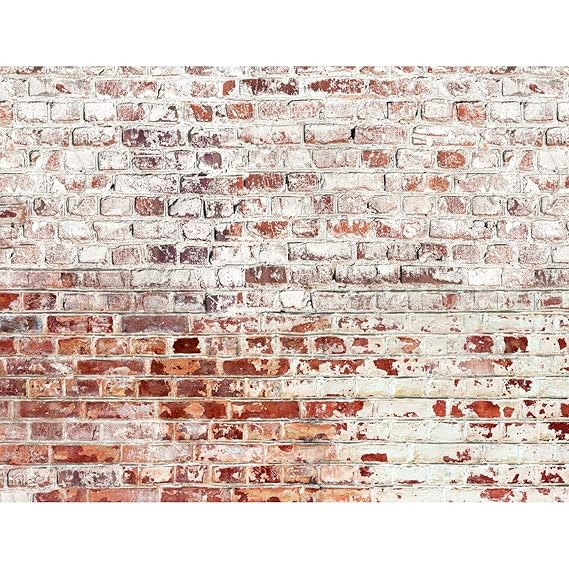 Fototapete Steinwand Vlies Wand Tapete Wohnzimmer Schlafzimmer Büro Flur Dekoration Wandbilder XXL Moderne Wanddeko - 100% MA