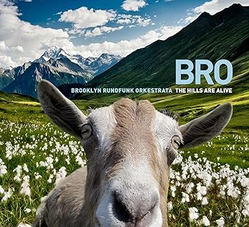 The Hills Are Alive By Brooklyn Rundfunk Orkestrata Amazon Co Uk