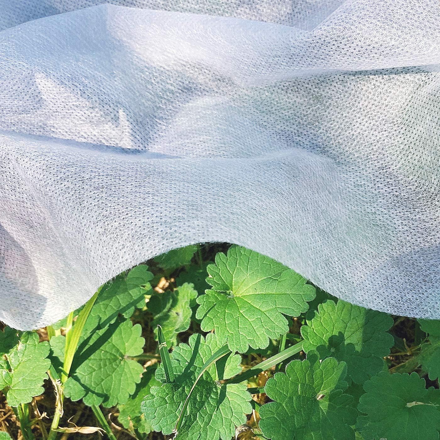 CZAYEFNH Plant Protection Cap, 4 Pieces Plant Cover Winter Frost