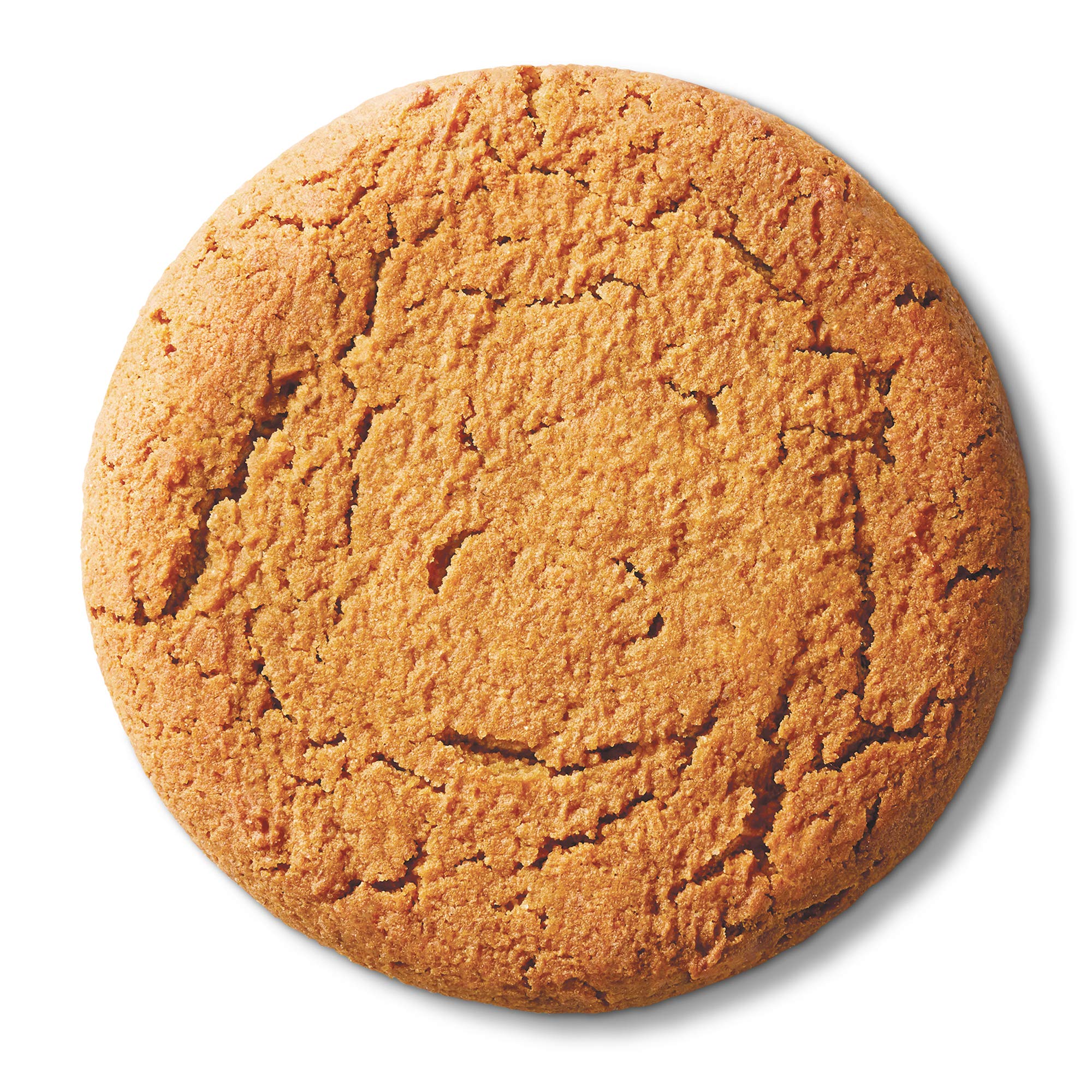 Lenny & Larry's The Complete Cookie, Pumpkin Spice, Soft Baked, 16g Plant Protein, Vegan, Non-GMO 4 Ounce Cookie (Pack of 12)