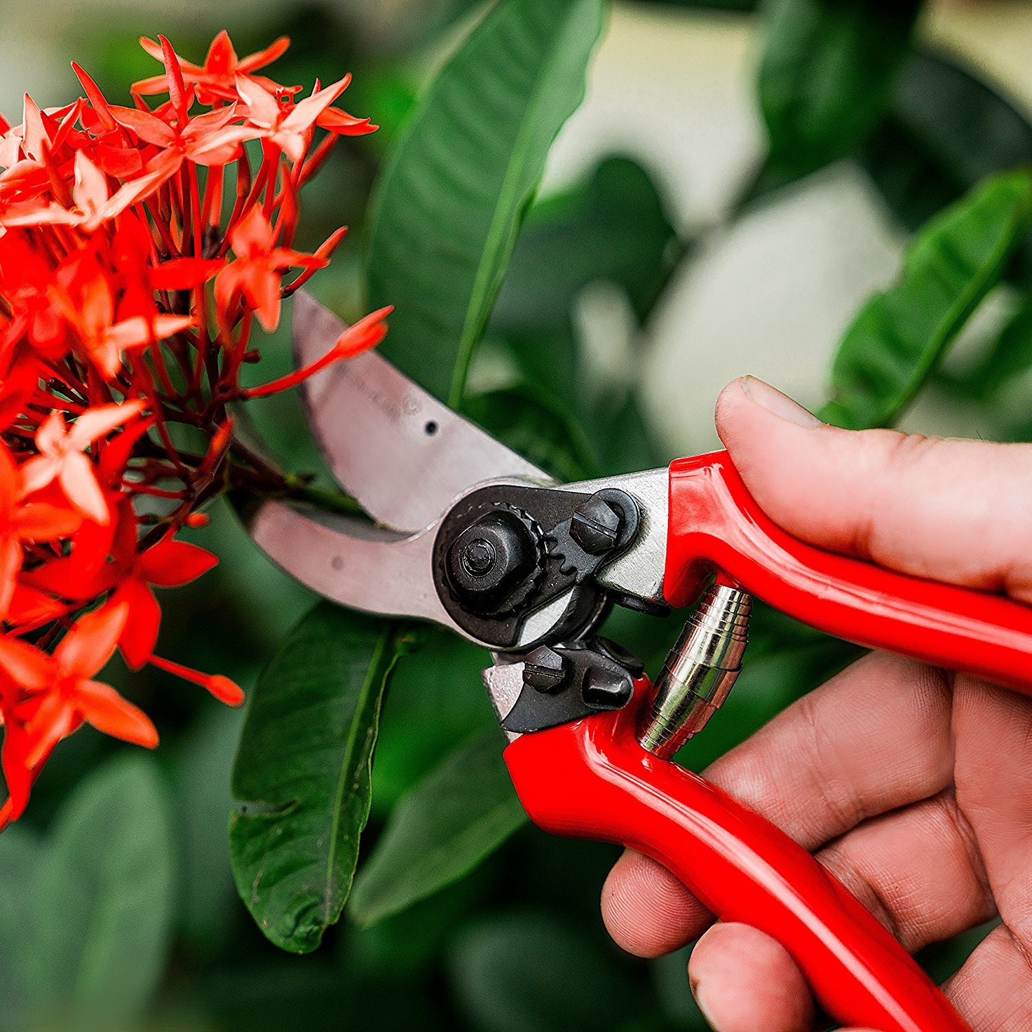 Green Heart Garden Bypass Pruning Shears with Premium Carbon Blades and Safety Lock