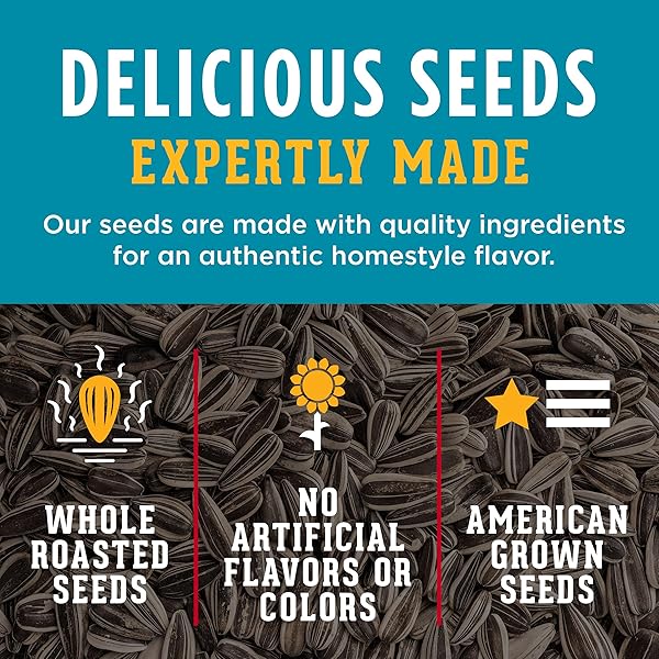 DAVID ROASTED AND SALTED JUMBO SUNFLOWER SEEDS, RANCH FLAVOR, 5.25OZ.