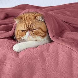Bedsure GentleSoft Fleece Throw Blanket for Couch