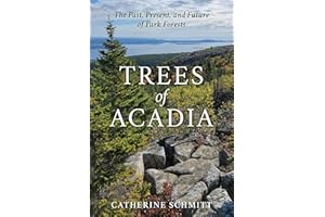 Trees of Acadia: The Past, Present, and Future of Park Forests