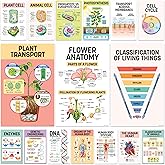 Decorably 16 Biology Posters for Classroom, 11x17in Matte-Laminated Educational Science Posters for Classroom - School Hallwa
